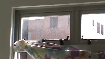Madura rusa folla en el culo de un chico hermoso Strapon kiss sexo casero real gratis