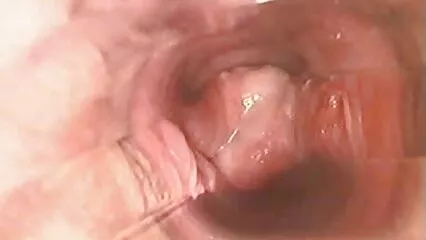 Chica consigue un trabajo en la Administración Pública videos sexo casero amateur y folla con el futuro beso del jefe